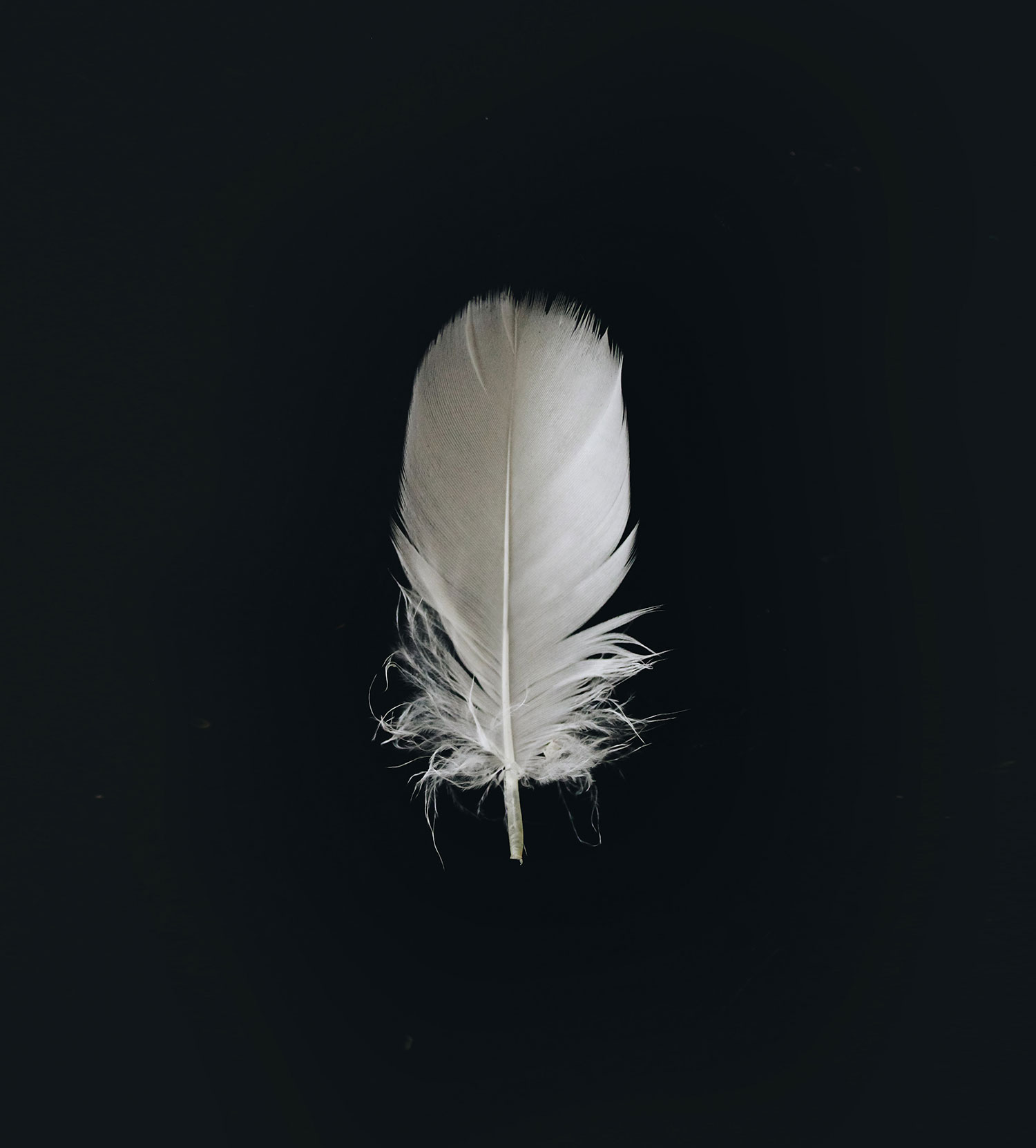 evie-s-DSGP650z8rM-unsplash